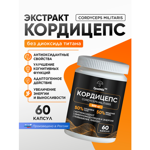 ������ ������ ��������� �������� ������� 60 �� �� 500 ���������� ����