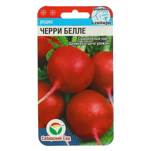 ������ ������ ������ ����� 