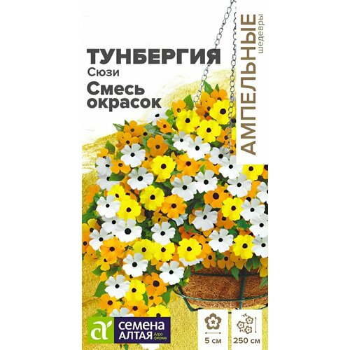 ������ ������ ������ ������ ������ ����� 