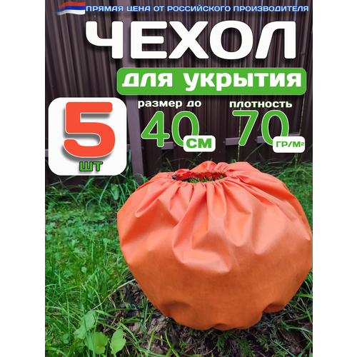 ������ ������ ������ ����� ��� ��� � �������������, ��� � ������, 40x80��, 5 �� ����