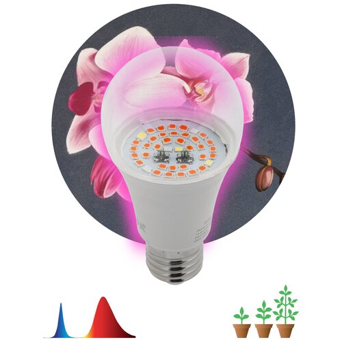 ������ ������ ��������� ��� �������� ������������ ��� E27 14W 1300K FITO-14W-RB-E27 �0050602 ����