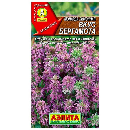 ������ ������ ������. ������� �������� 