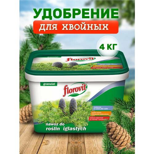 ������ ������ ��������� ��������������� Florovit ��� ������� �������� 4 �� ����� ����