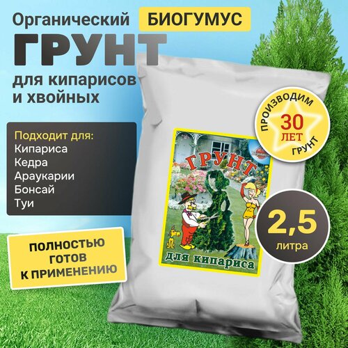 ������ ������ ����� ��� ��������� � ������� �������� 