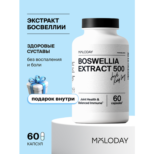 ������ ������ �������� �������� MOLODAY, 60 ������, ��� �������� � ���������� ����