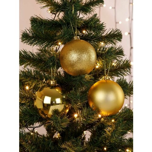 ������ ������ ������� ��������� ����� ������� ����� ������� 12 �� ����