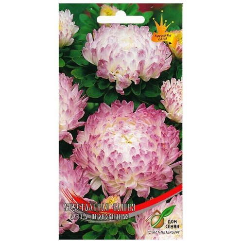 ������ ������ ������ ������ ����� ����������� 