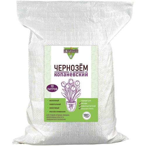 ������ ������ ����� ����� �������� ����������� ��� ��������� �������� � ���� 10 ������ ����