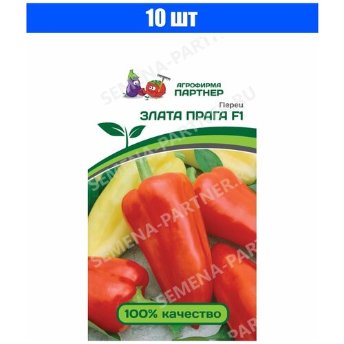 ������ ������ ������ ����� 