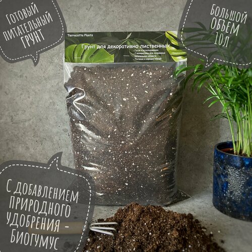 ������ ������ ������� ����� � ���������� ��� ��������� �������� �������� Terracotta Plants, 10 ������. ����