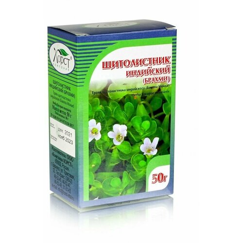 ������ ������ ����������� ��������� (������ �����, ������), ����� 50�� ����