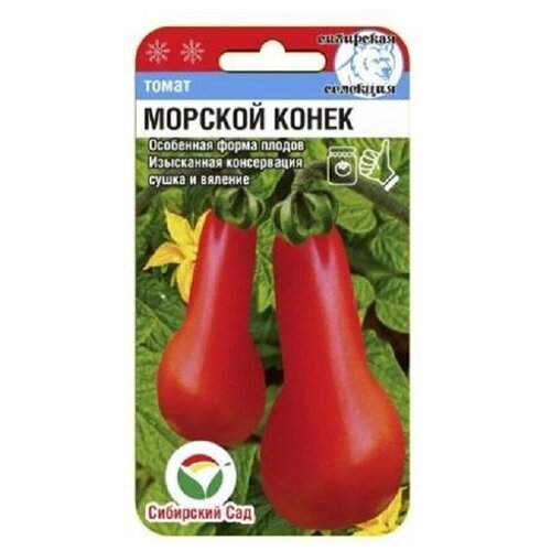 ������ ������ ������� ����� 20�� ����� (��� ���) ����