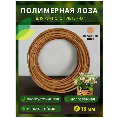 ������ ������ ���������� ���� � �����, ������� 18��, 100�, �������� ����