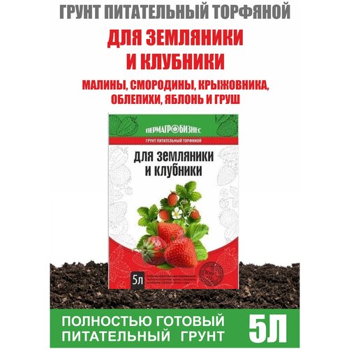 ������ ������ ������ ��� ������� ����� ��� �������� ��������� 5� ����