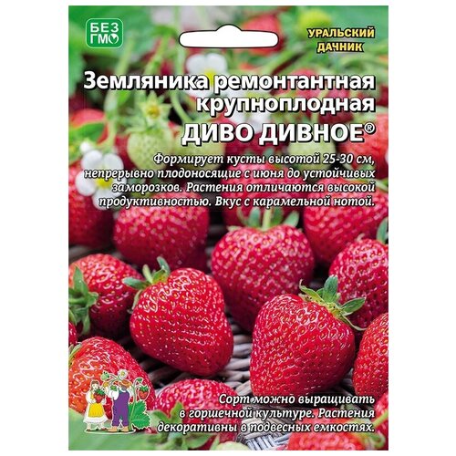 ������ ������ ������ ��������� ������������ ������������� 