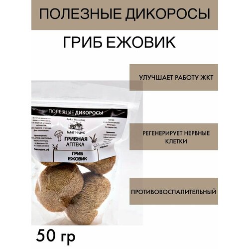 ������ ������ ���� ������ ����