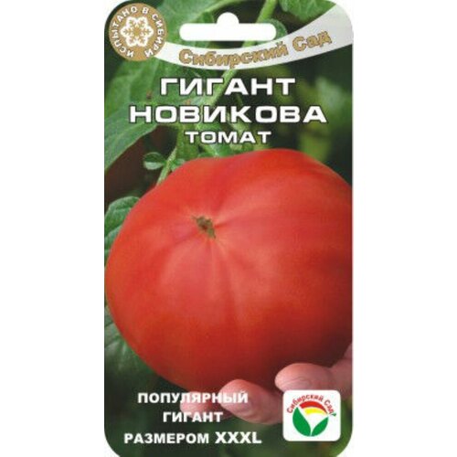 ������ ������ ������ ����� ������ �������� 20�� ����� (��������� ���) XXXL ����