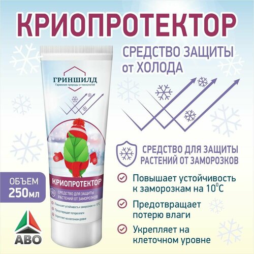 ������ ������ �������� ��� ������ �� ���������� �������� ������������� ����