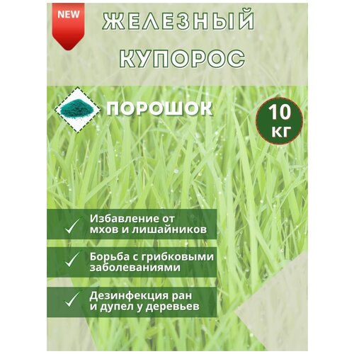 ������ ������ �������� �������, 10�� . ��������������� �������� ��� ������ �������� �� �������� � ���������� ����