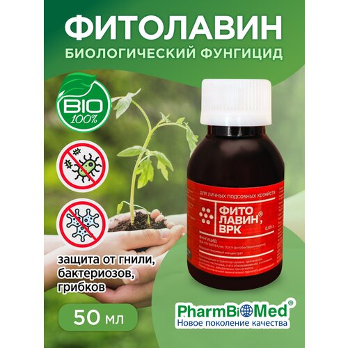 ������ ������ �������� ���������, ��� ����