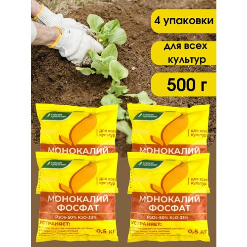 ������ ������ ��������� ��������������� (���������� �����), 2 ��. ����