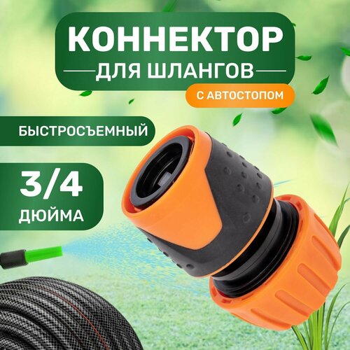 ������ ������ ��������� ��� ������, ������������� � ���������� 3/4 ����� ������ ������ ����