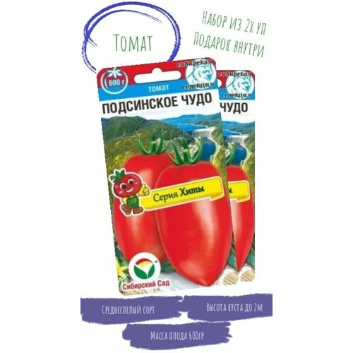 ������ ������ ����� ���������� ����, ��������� ���. ����� �� 2 �������� �� 20 ��. �����. ������� ������. ����