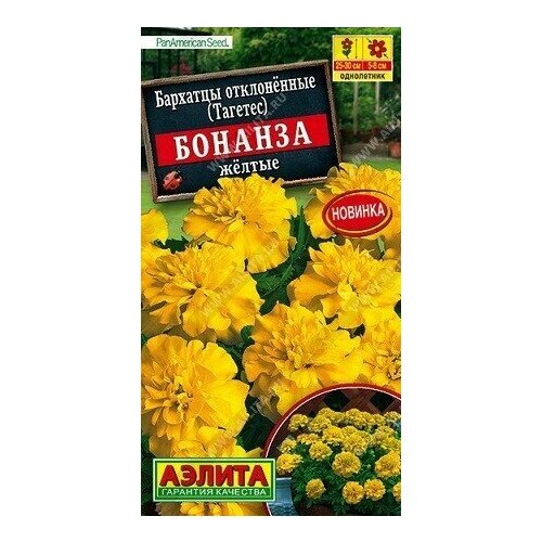 ������ ������ �������� ������� ������ 10�� ������ ����