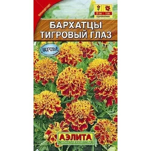 ������ ������ �������� �������� ���� ����, ������ ������ 0,3� ����