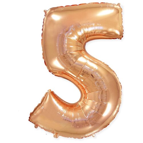 ������ ������ ��������� ��� �������������� �����, 5, ������� ������, 81 ��, 1 ��. ����