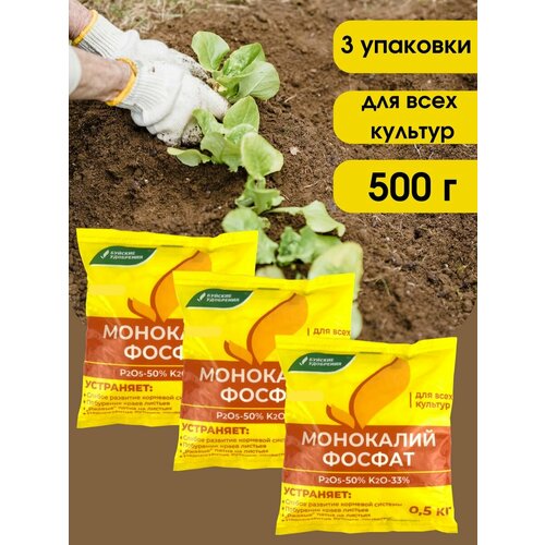 ������ ������ ��������� ��������������� (���������� �����), 1,5 �� ����