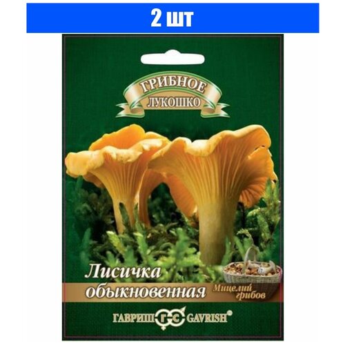 ������ ������ ������ ������� ������� ������� �� �������� ��������� 15 ��, 2 ��. ����