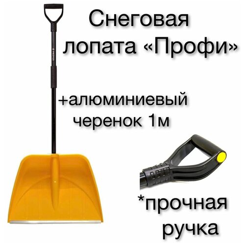 ������ ������ ������ �������� 