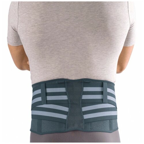 ������ ������ ������ ORTO PROFESSIONAL BCW 2100, ������ M, ������ 21 ��, ����� ����