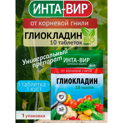 ������ ������ ���������� �� �������� ����� �������� ��� (10��������) ����