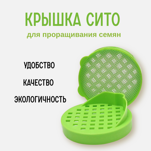 ������ ������ �������� ���� ������������� ������-���� ���� ���� 3 ��. ����