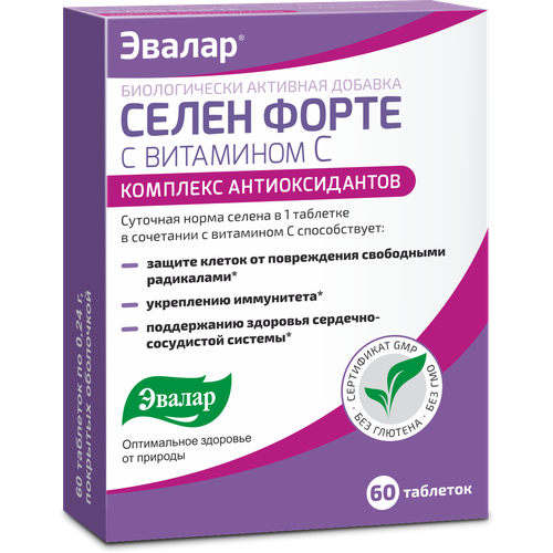 ������ ������ ����� ����� � ��������� C ���., 60 ��. ����