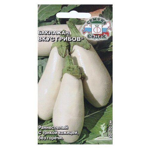 ������ ������ ������ ����� �������� ���� ������ ����