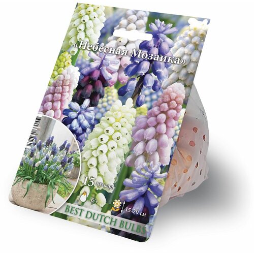 ������ ������ ������� 