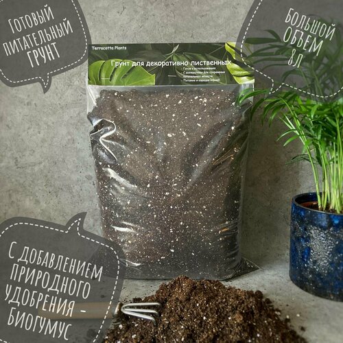 ������ ������ ������� ����� � ���������� ��� ��������� �������� �������� Terracotta Plants, 8 ������. ����