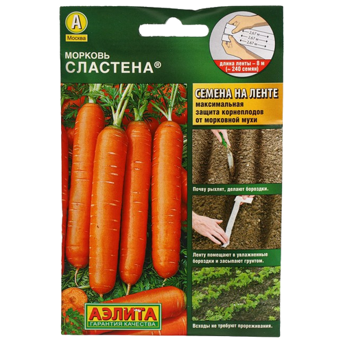 ������ ������ ������ ��������� ������ ������� ��������, 8 � ����