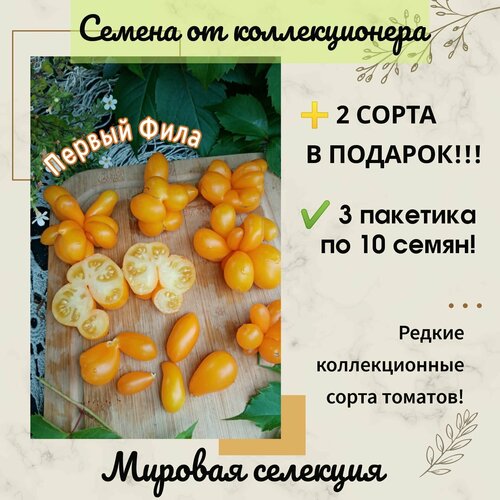 ������ ������ ����� ������ ����, ������� �� ��������� �����, ������� ��������, ������������� ���� ����