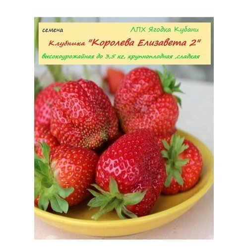 ������ ������ �������� 