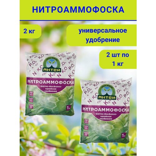 ������ ������ ��������� ��������������, 2 �� ����