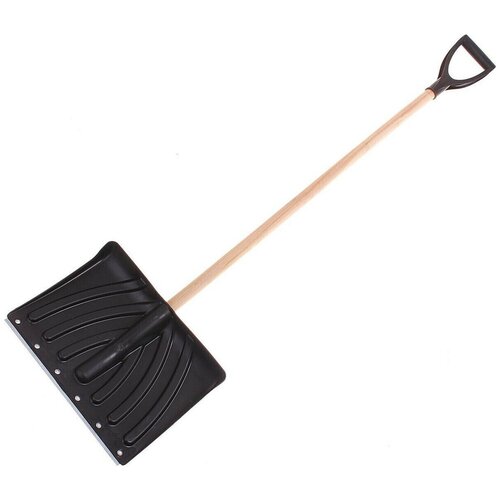 ������ ������ ������ �������� 