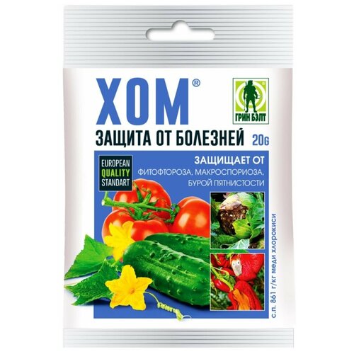 ������ ������ �������� ������ �� �������� ��� 20 � ��� ������ ����