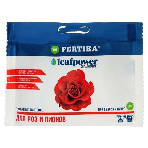 ������ ������ ��������� ����������� 