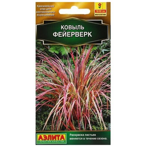 ������ ������ ������. ������ 