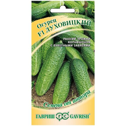 ������ ������ ������ ������ ������ �� ������ ������ ���������� F1 10 ��. ����