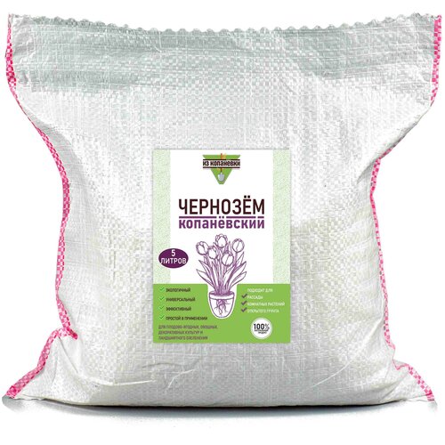 ������ ������ ����� ����� �������� ����������� ��� ��������� �������� � ���� 5 ������ ����